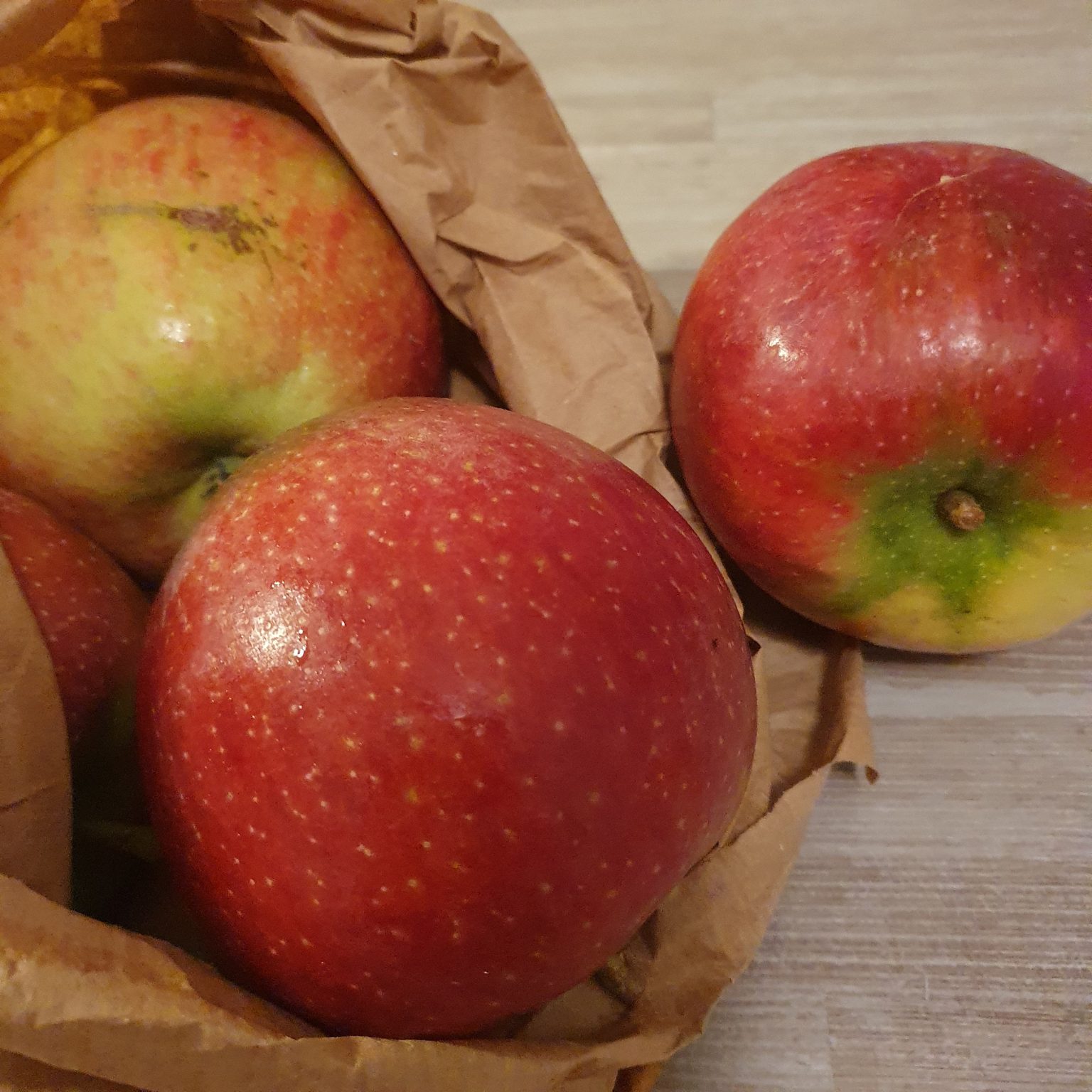 Appels - Ecolette