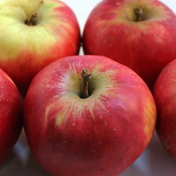 Appels - Elstar