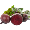 Rode bieten