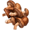 Shiitake
