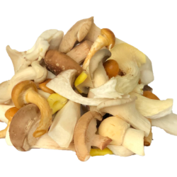 Paddenstoelenmix